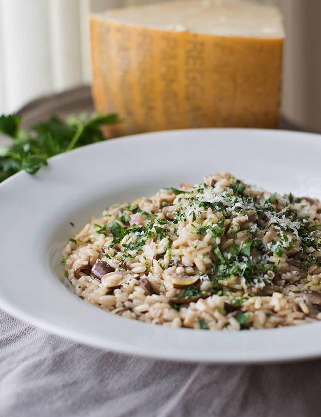 Risotto aux champignons