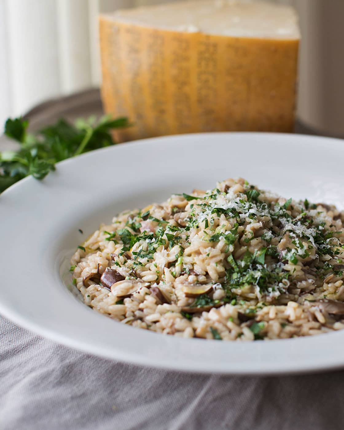 MUSHROOM RISOTTO