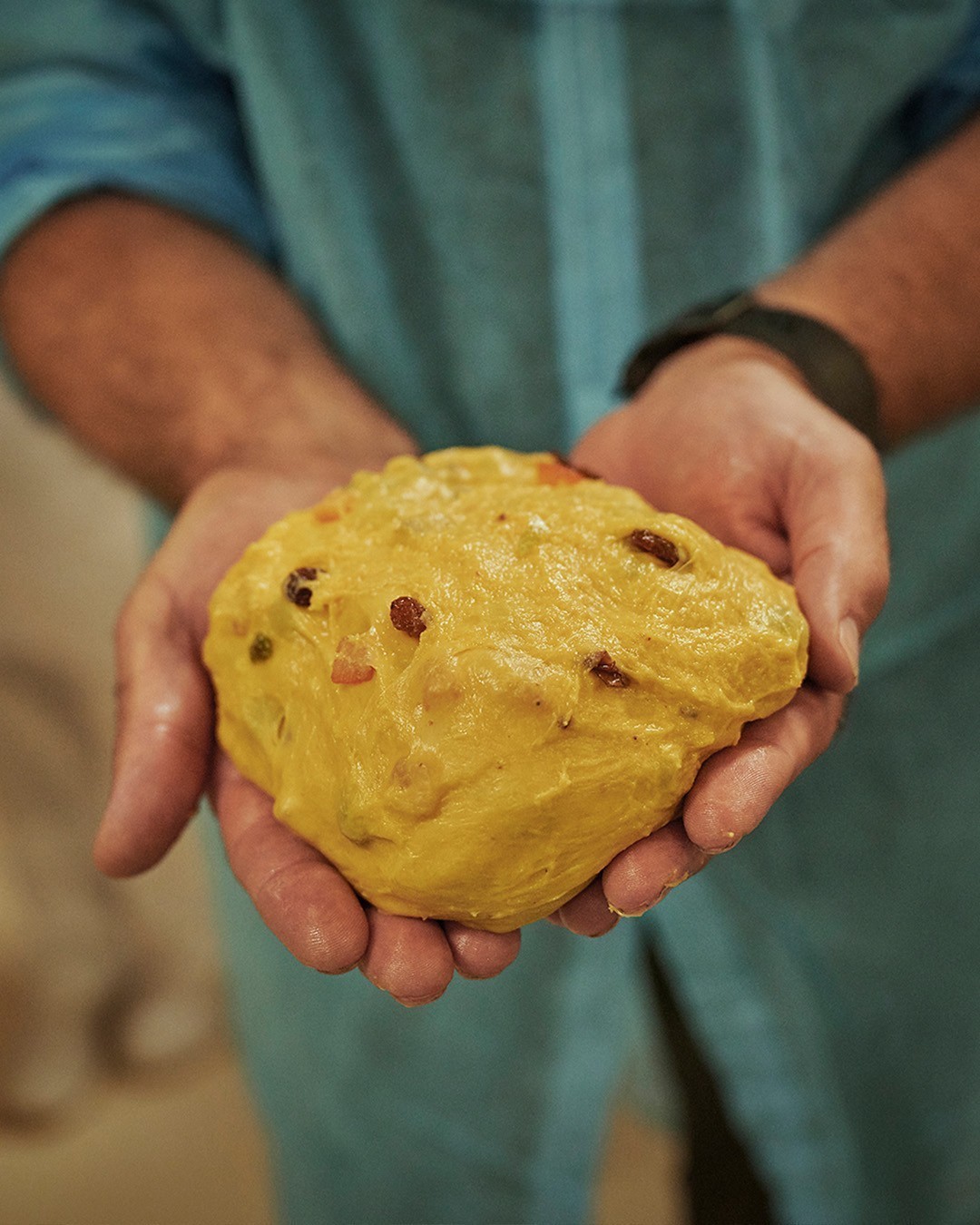 Stefano Faita, blogue sur le panettone