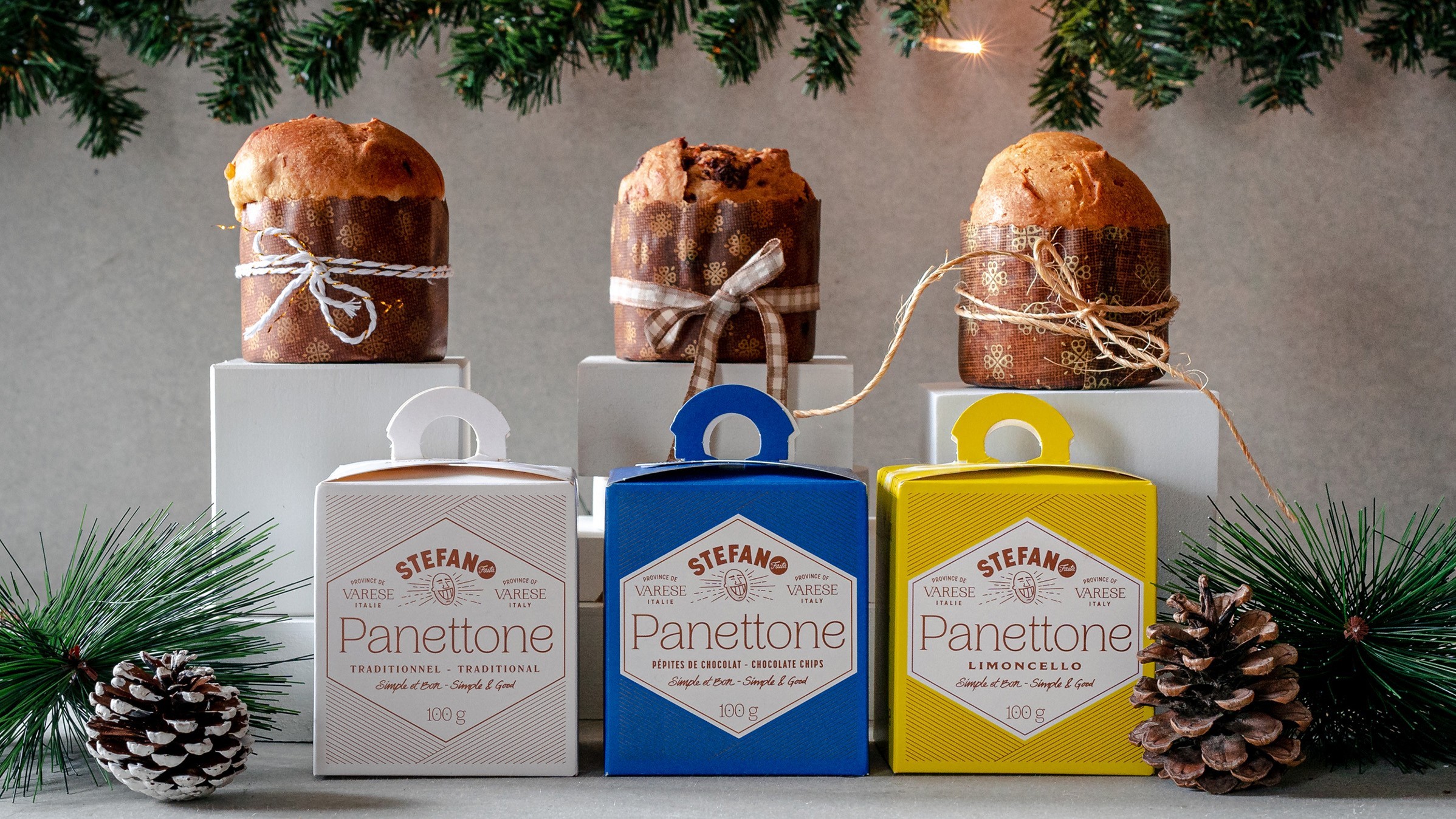 PANETTONE TRADITIONNEL – SOLIDRIVE