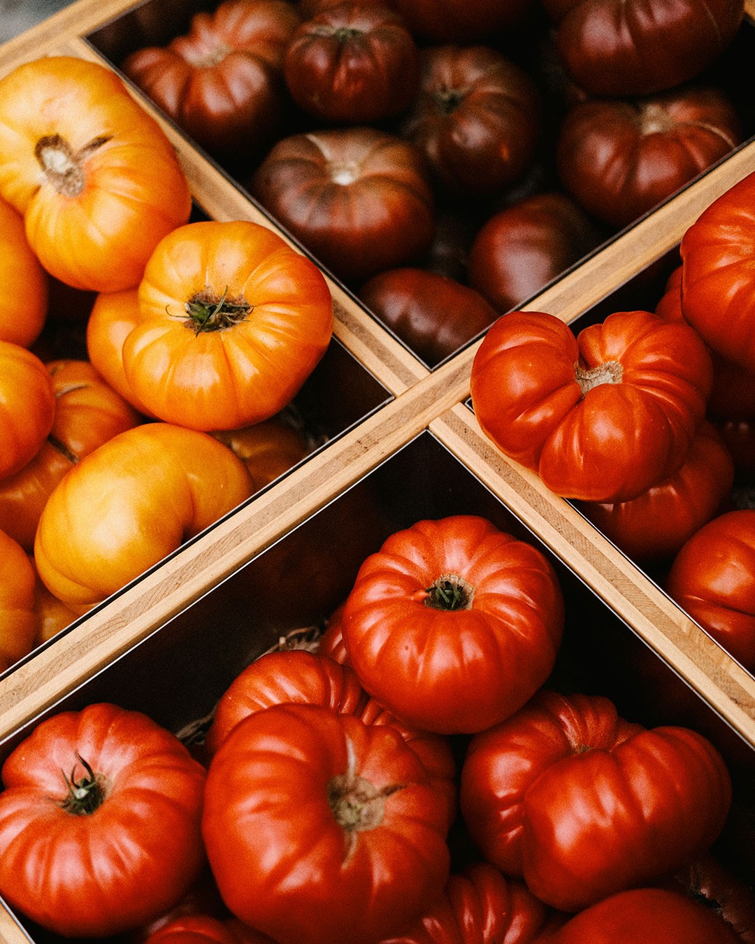 Different tomato varieties