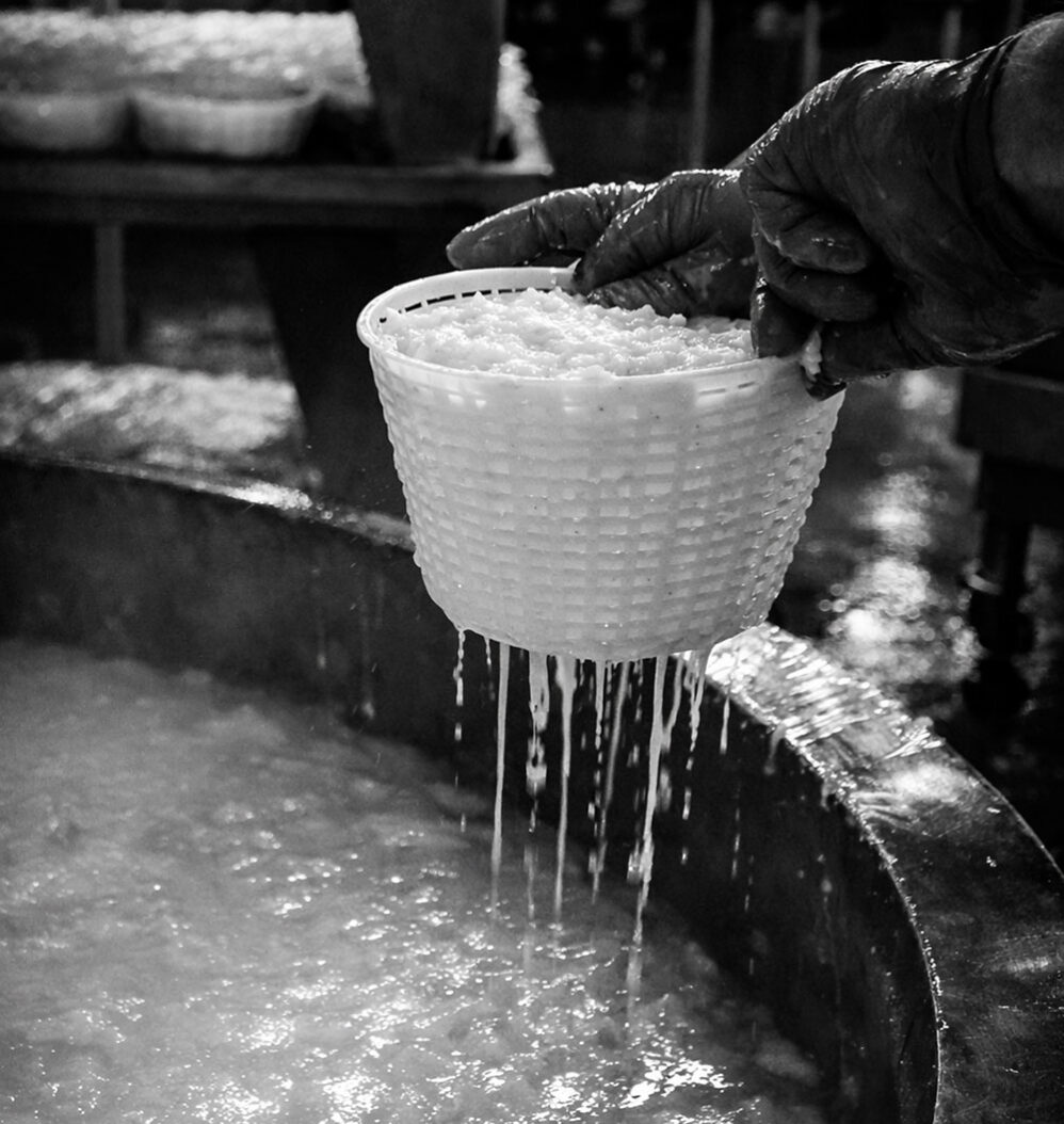 La fabrication du fromage ricotta